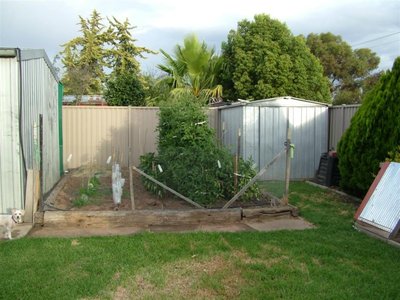 Shepparton