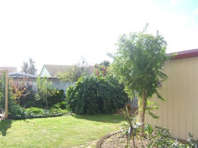 Shepparton