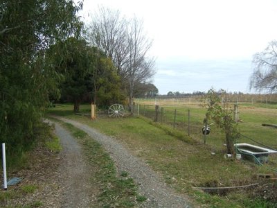 Orrvale
