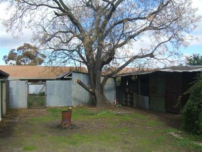 Shepparton