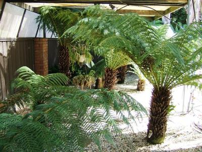 Grahamvale