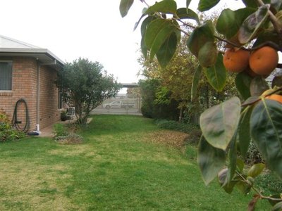 Shepparton