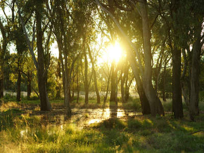 Shepparton East