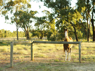 Shepparton East