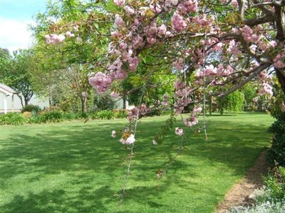 Grahamvale