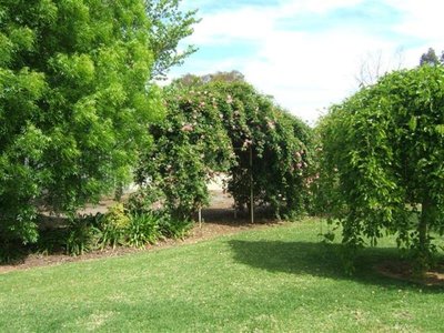 Grahamvale