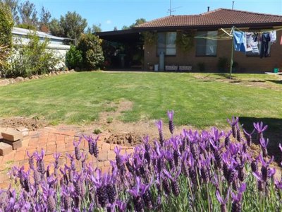Shepparton