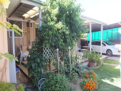 Shepparton