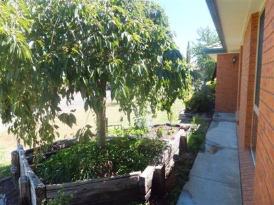 Shepparton