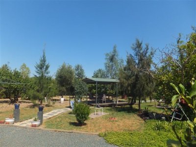 Tatura