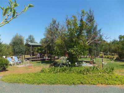 Tatura