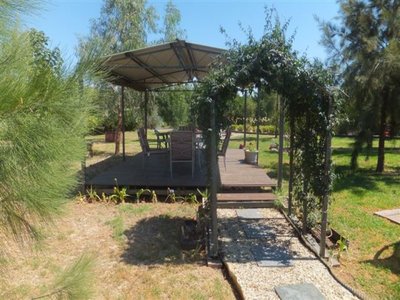 Tatura