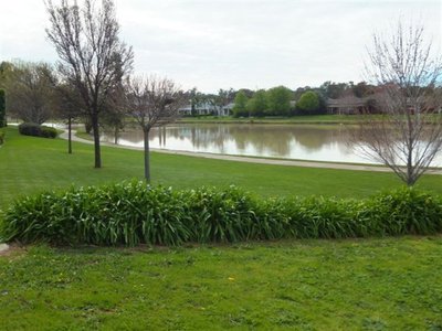 87 Kialla Lakes Drive, Kialla