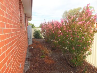 Shepparton