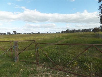 Kialla East