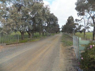 Kialla East
