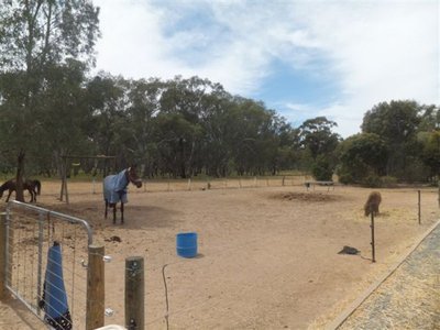 Numurkah