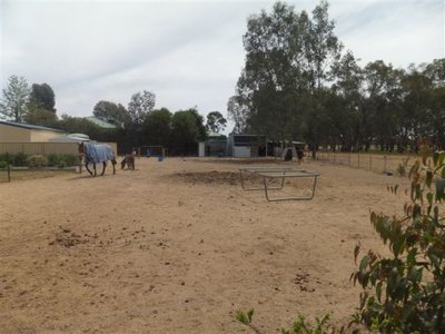 Numurkah