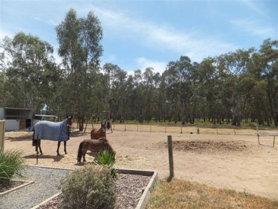 Numurkah