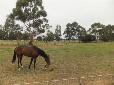 130 Thompsons Road, Tallygaroopna