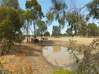 Numurkah