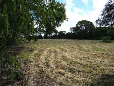 Numurkah