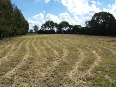 Numurkah
