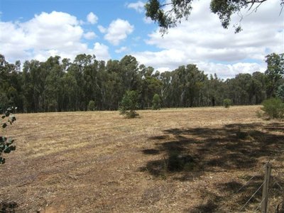 Toolamba