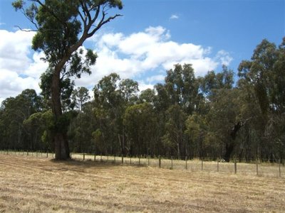 Toolamba