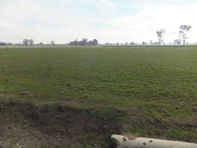 265 Euroa-Arcadia Road, Arcadia