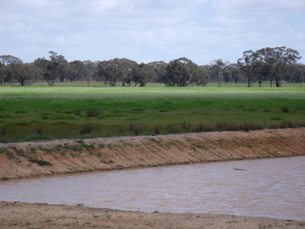 Chamberlain's Road, Inglewood