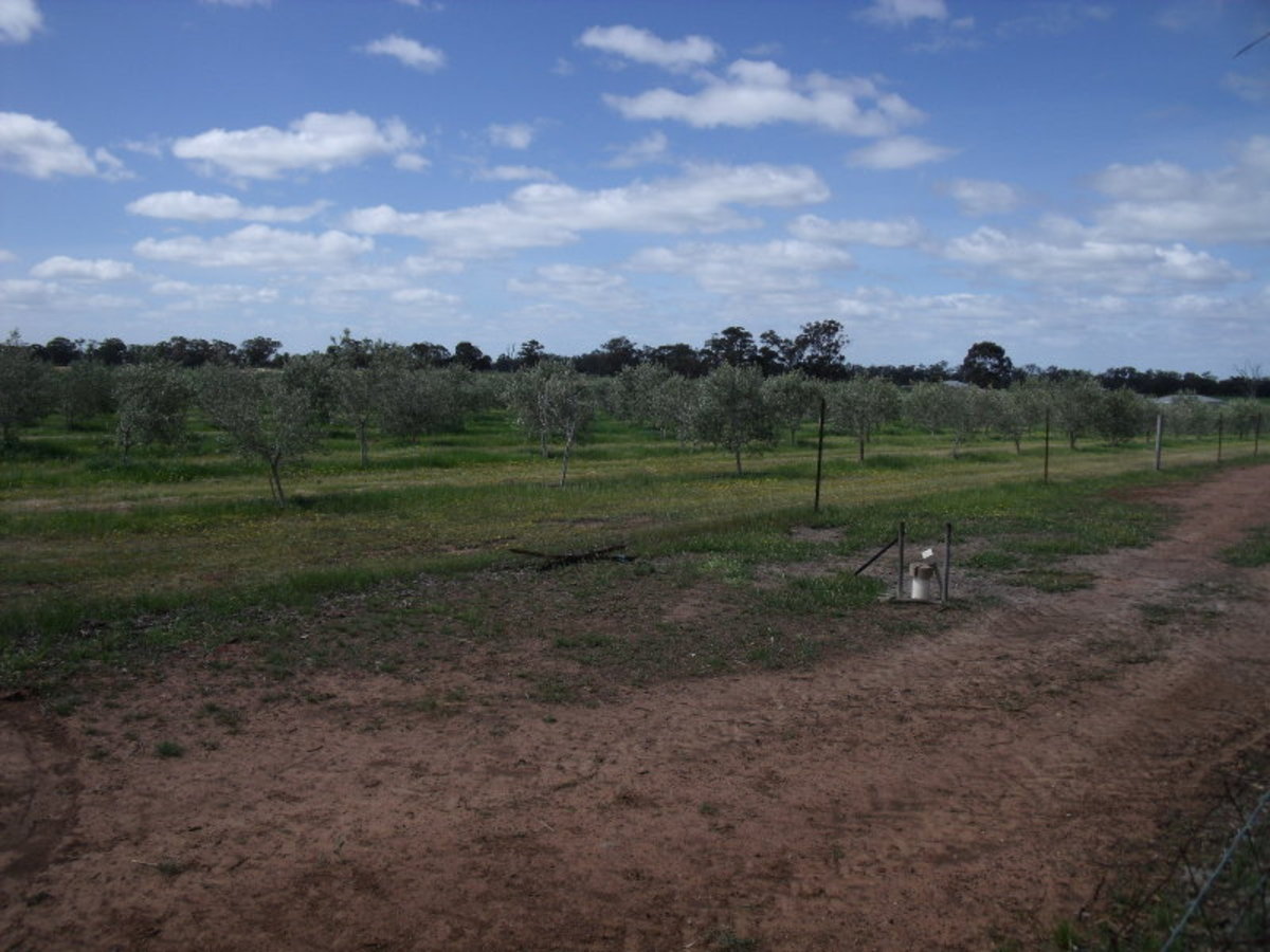 Chamberlain's Road, Inglewood