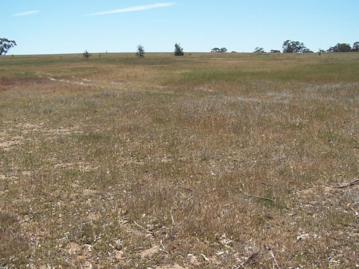 Old Canfields Road, Korong Vale