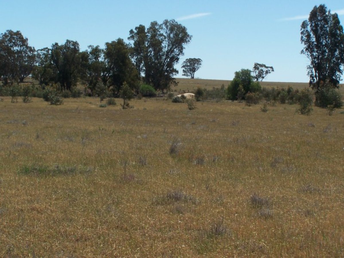 Old Canfields Road, Korong Vale
