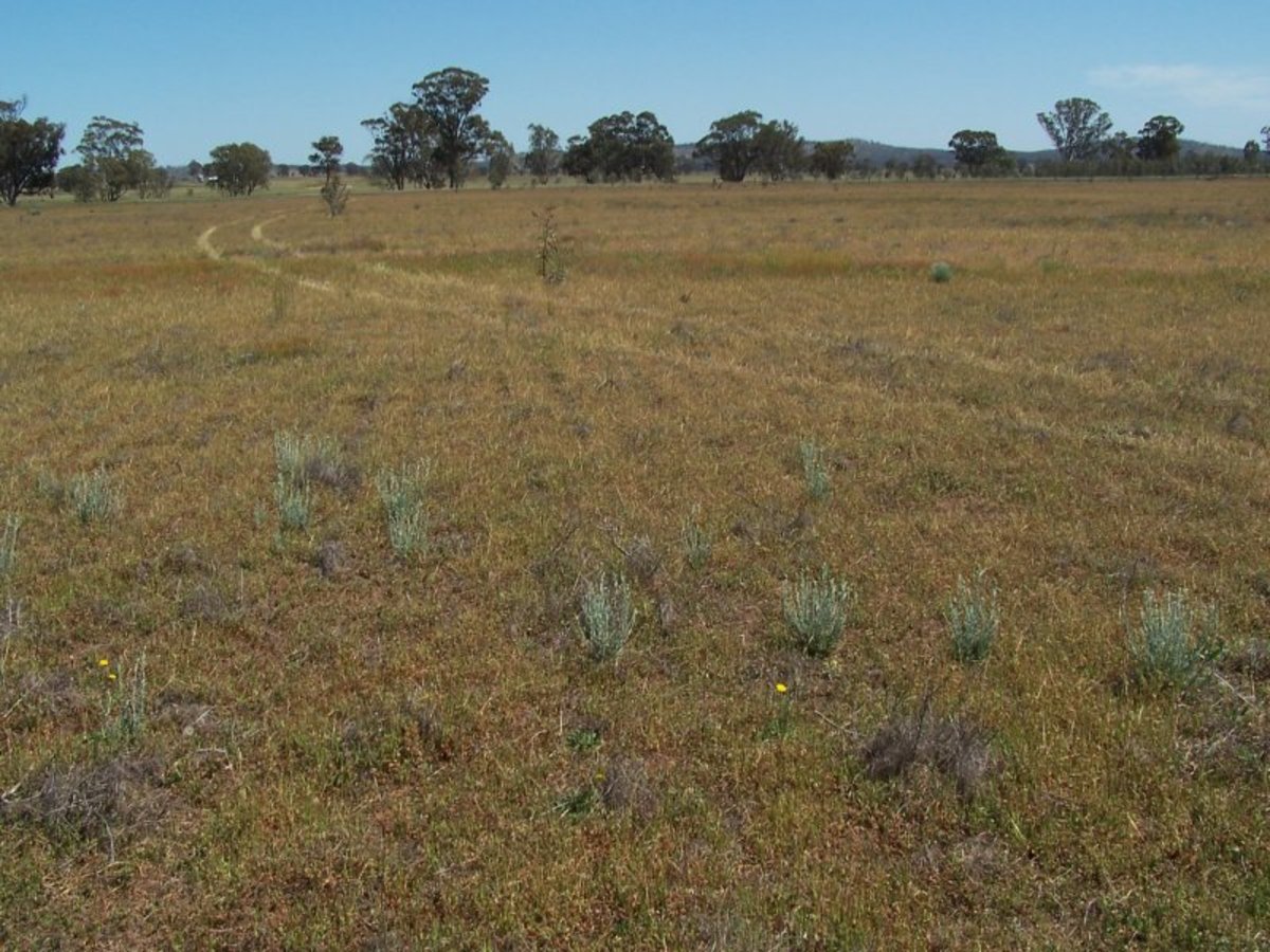 Old Canfields Road, Korong Vale