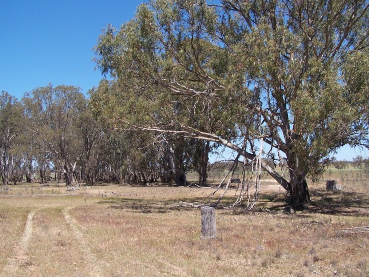 Old Canfields Road, Korong Vale