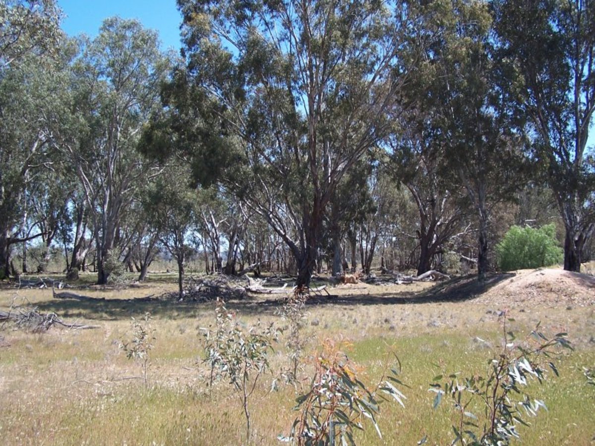 Old Canfields Road, Korong Vale