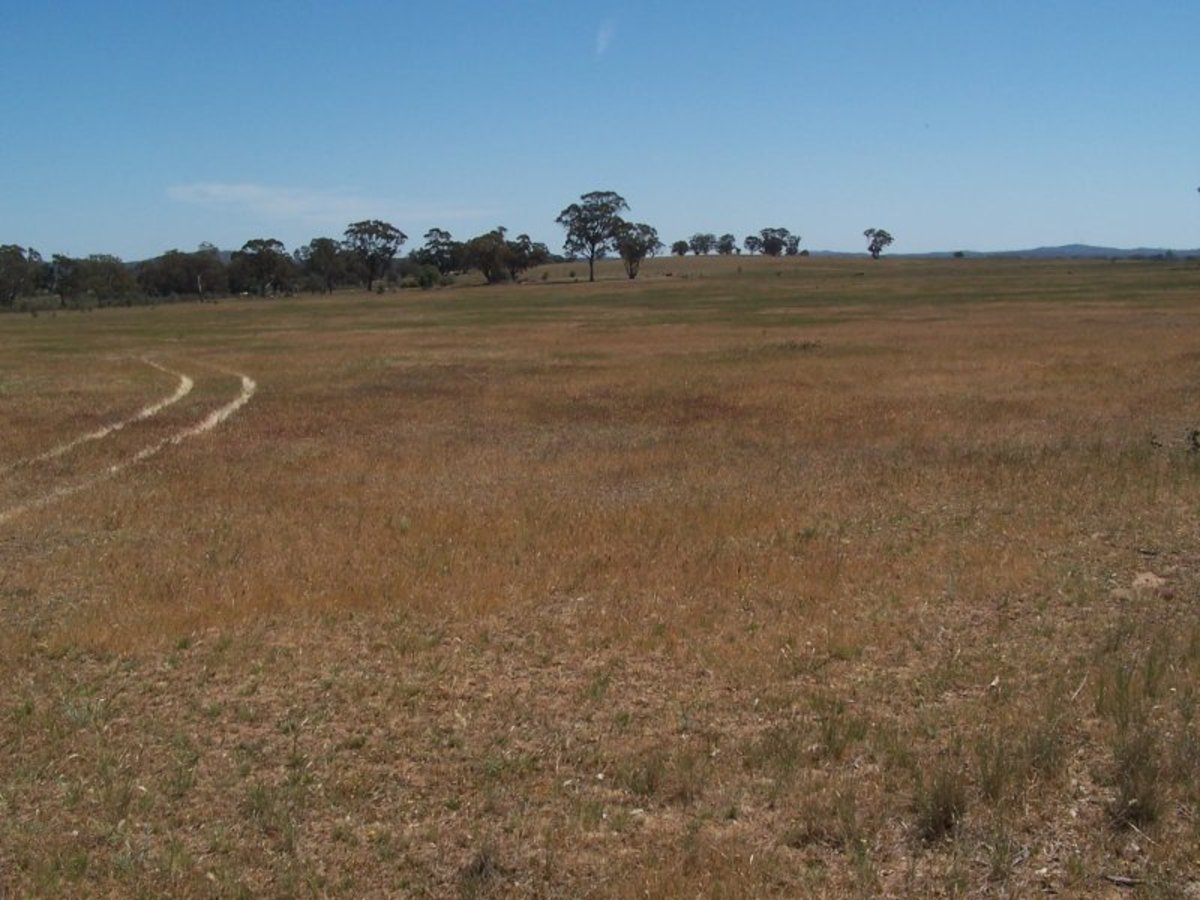 Old Canfields Road, Korong Vale