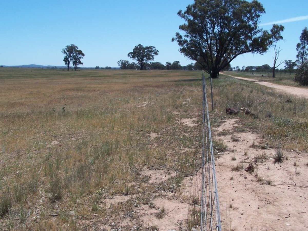 Old Canfields Road, Korong Vale