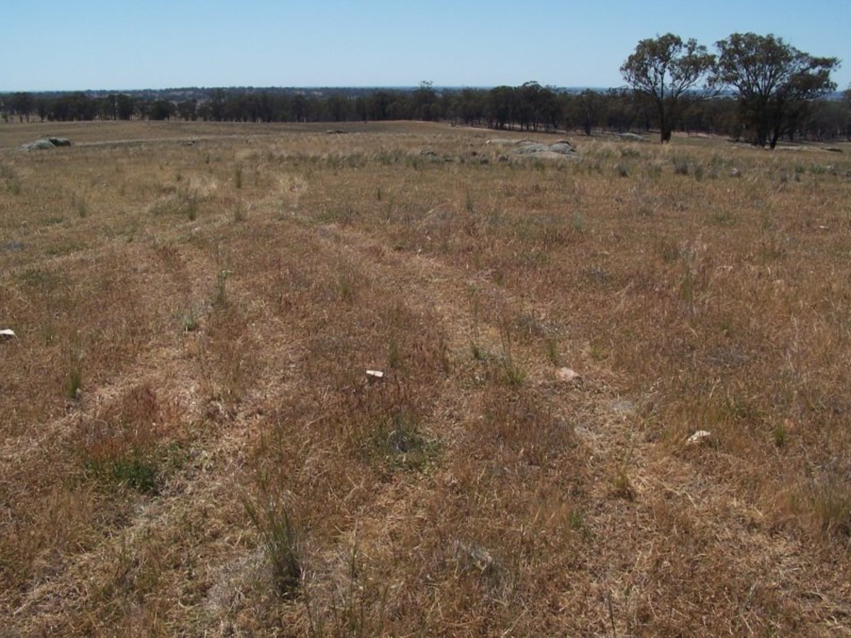 Old Canfields Road, Korong Vale