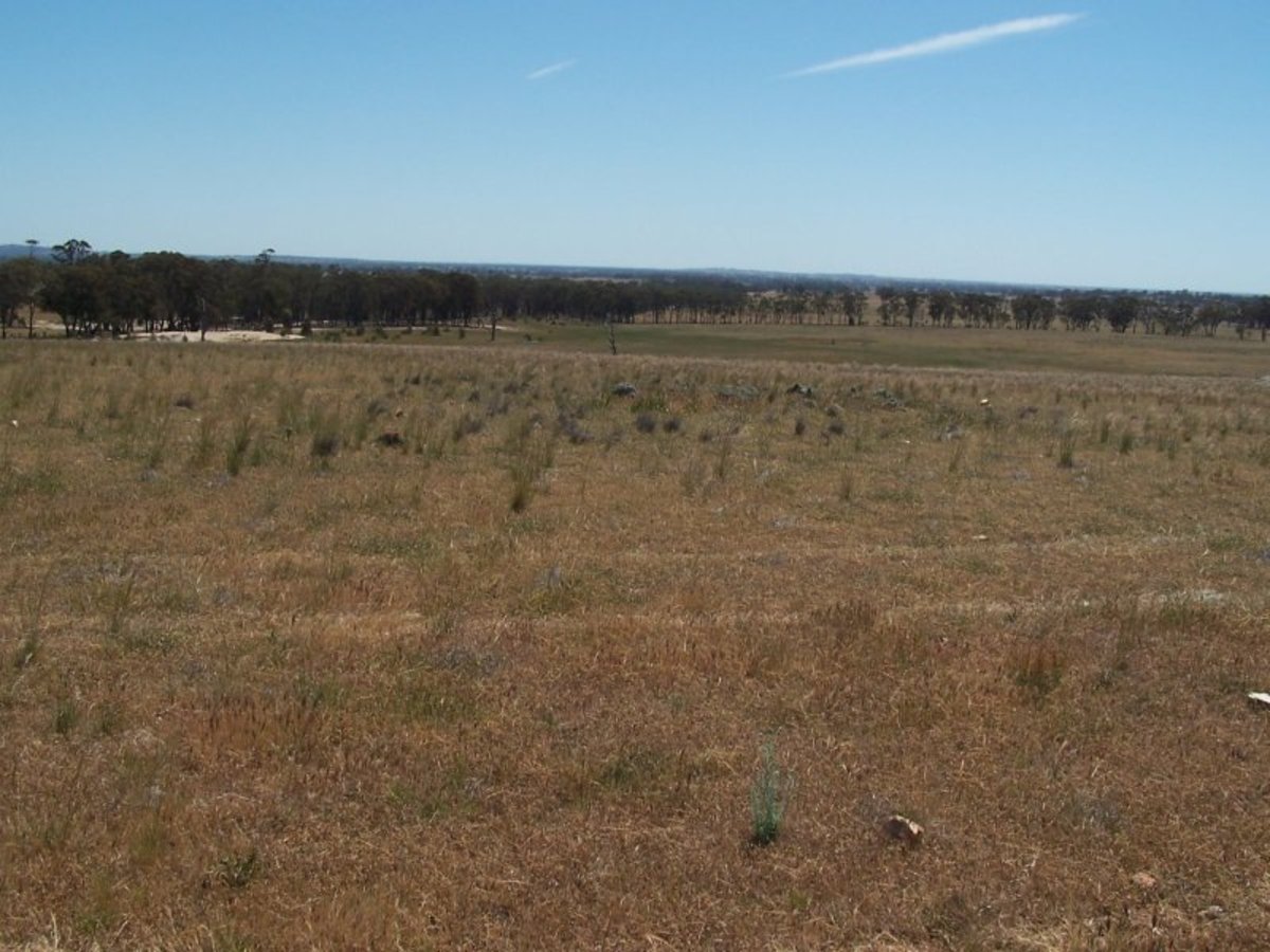 Old Canfields Road, Korong Vale