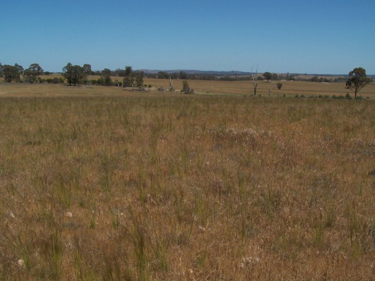 Old Canfields Road, Korong Vale