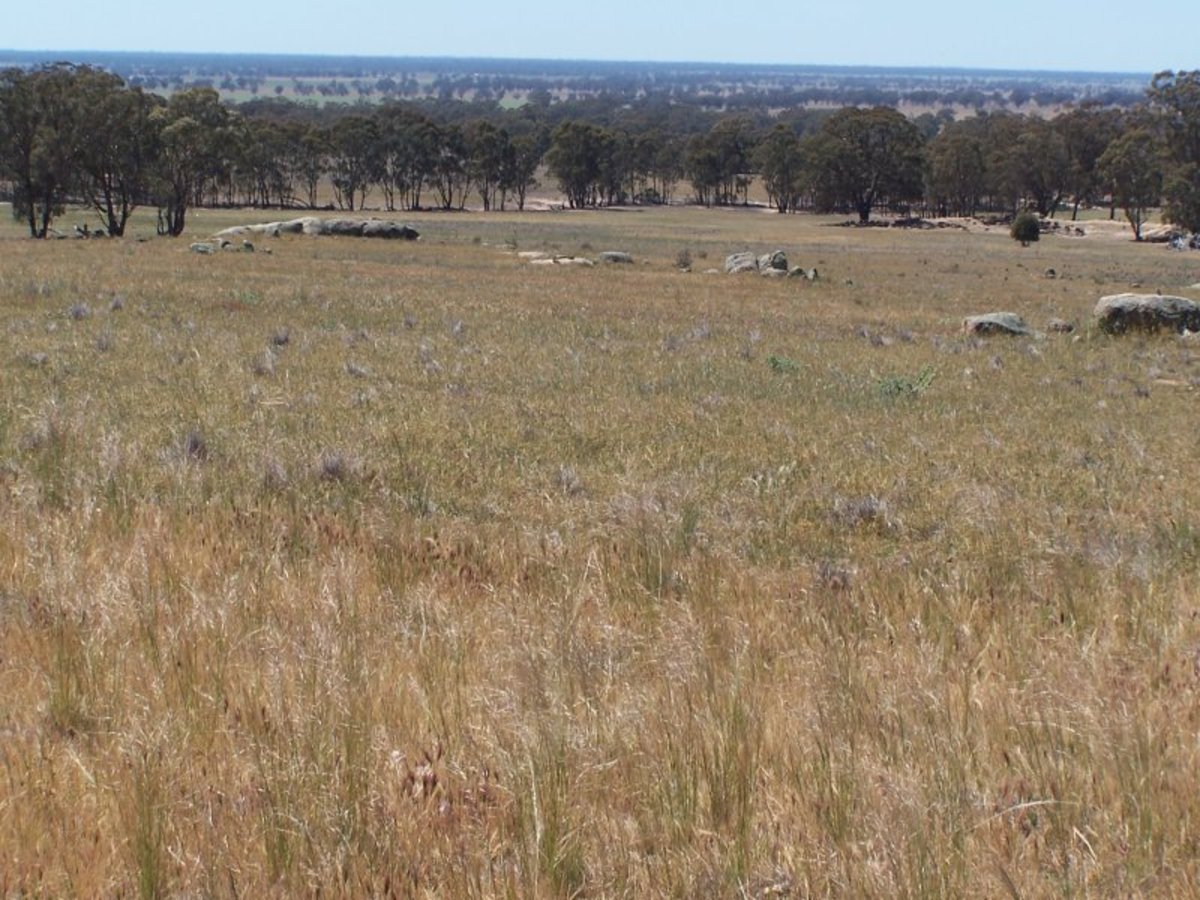 Old Canfields Road, Korong Vale