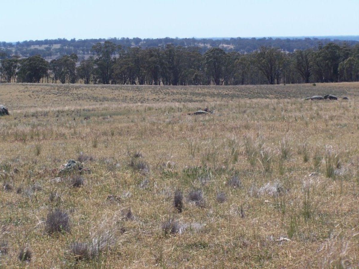 Old Canfields Road, Korong Vale