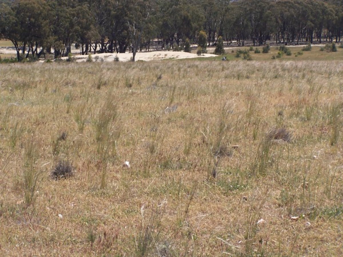 Old Canfields Road, Korong Vale