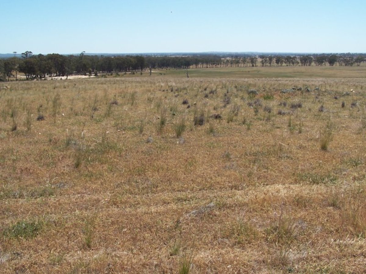 Old Canfields Road, Korong Vale