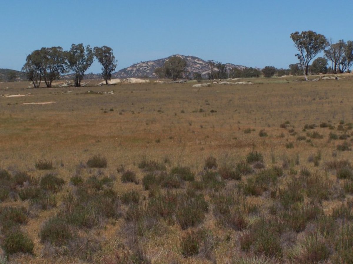 Old Canfields Road, Korong Vale