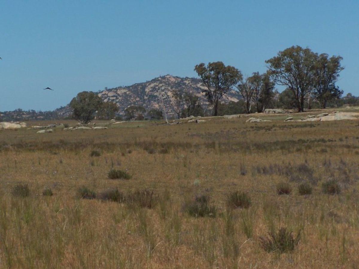 Old Canfields Road, Korong Vale