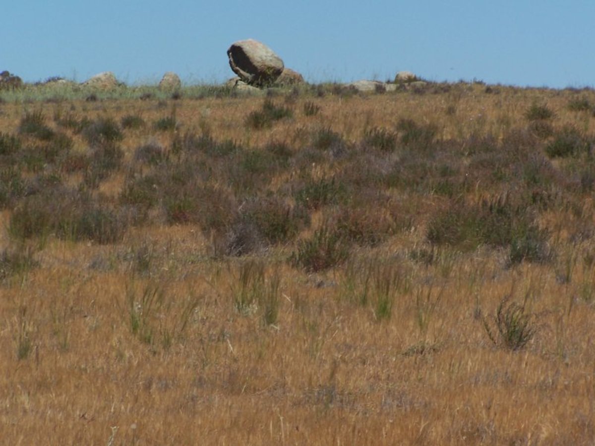 Old Canfields Road, Korong Vale
