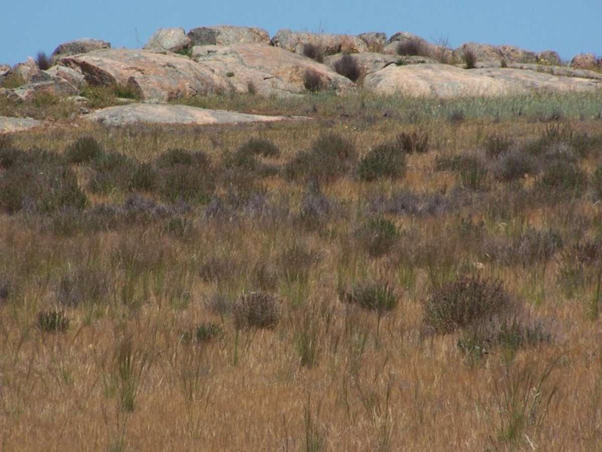 Old Canfields Road, Korong Vale